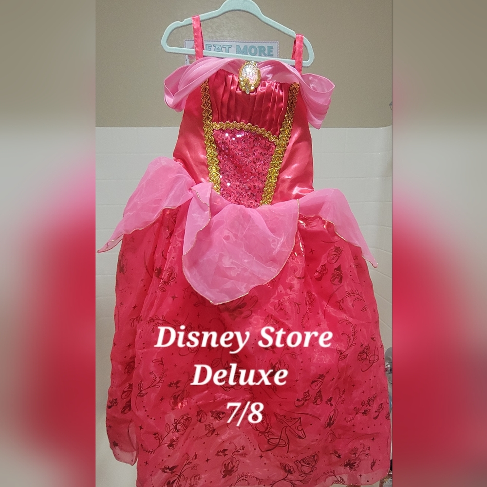 Aurora/Sleeping Beauty Disney Princess Dress